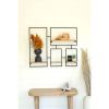 Four Wooden Shelves With Iron Frame