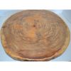 Rustic Log Slice Charcuterie board, Cutting Board, Cake Stand, Serving Platter or Center Piece Live Edge No Bark