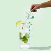Mint Mojito Cocktail Mocktail Mixer