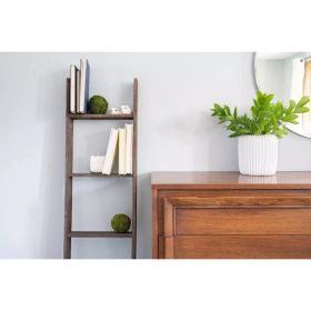 4 Step Rustic Weathered Grey Wood Ladder Shelf