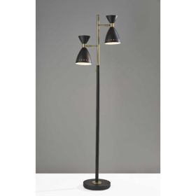 Two Light Brass Cinch Floor Lamp in Black Metal