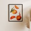 Star Anise Oranges
