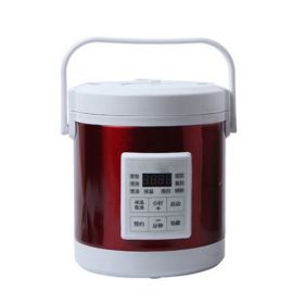 12V 24V Mini Rice Cooker 1.6L Car Truck Electric Hot Soup Rice Cooker (power: US, Color: Red)